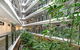 Roomerang At Panorama Apartments 3 - thumb 6
