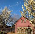 Magenta Cottage - Accommodation Gladstone