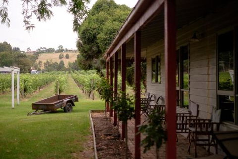 Fergusson Winery Homestead Accomodation - Accommodation Gladstone 2