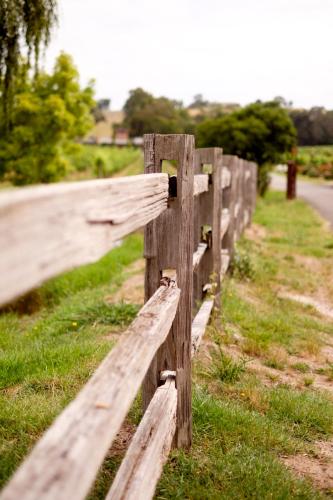 Fergusson Winery Homestead Accomodation - Accommodation Gladstone 6