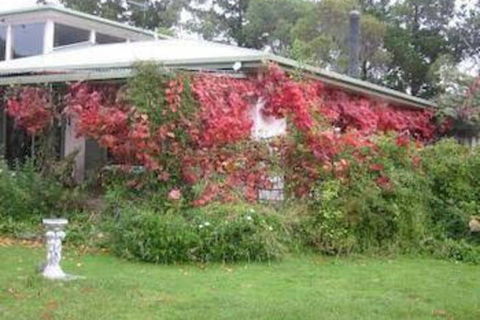 Castagni Bed & Breakfast - Accommodation Gladstone 2