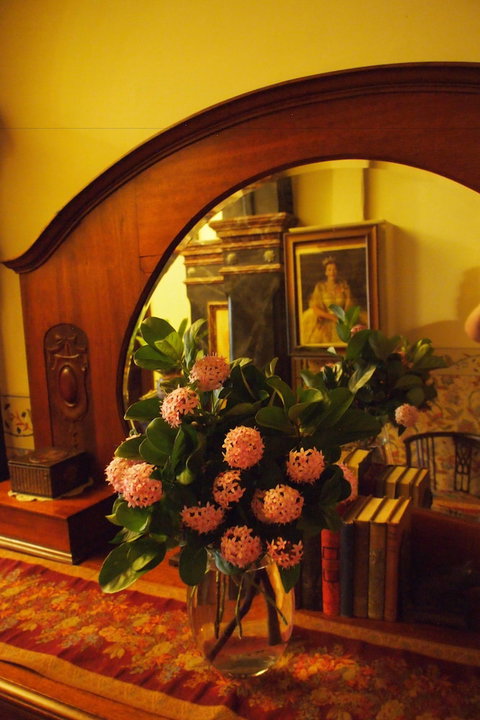 Vacy Hall Toowoomba's Grand Boutique Hotel - Accommodation Gladstone 6