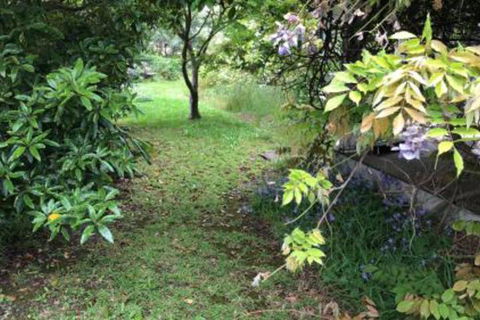 Lorelei Bed & Breakfast - Accommodation Gladstone 2