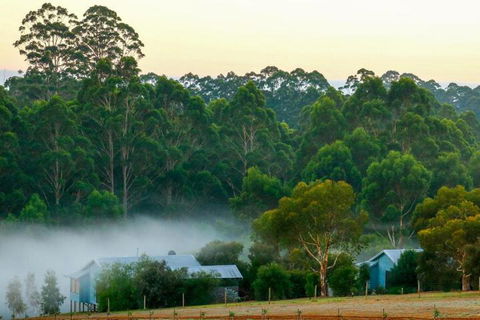 Rainbow Trail Chalets - Accommodation Gladstone 6