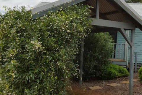 Rainbow Trail Chalets - Accommodation Gladstone 7