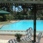 The Tree Motel - Accommodation Gladstone 0
