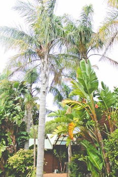 Yallingup Lodge Spa Retreat - Accommodation Gladstone 1