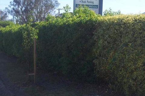Glenndale Park Motel - Accommodation Gladstone 4