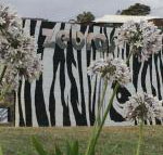 Zebras Guest House - Accommodation Gladstone