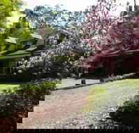 Curtis Falls Apartment - Accommodation Gladstone