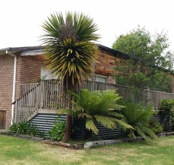 Strahan Holidays - Accommodation Gladstone 4