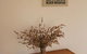 Waterfall Way Accommodation - thumb 5