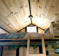 Big Tiny Dale View Tiny House - Accommodation Gladstone