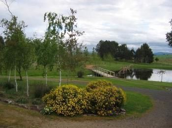 Buttercup Cottage & Private Apartment - Accommodation Gladstone 3