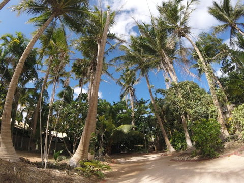 Cable Beach Backpackers - Hostel - Accommodation Gladstone 2