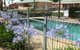 Commercial Golf Resort - thumb 4