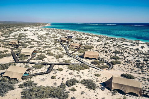 Sal Salis - Accommodation Gladstone 1