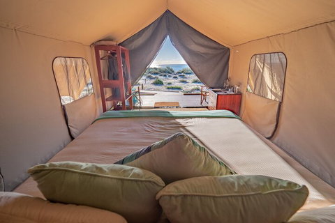 Sal Salis - Accommodation Gladstone 5