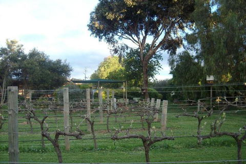 Southern Vales Bed & Breakfast - Accommodation Gladstone 7