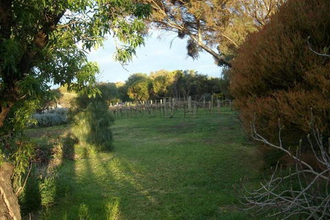 Southern Vales Bed & Breakfast - Accommodation Gladstone 2