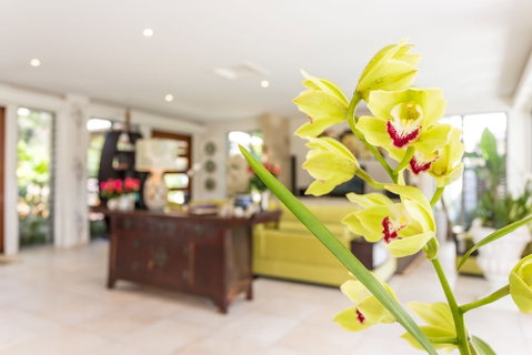 Alaya Verde - Accommodation Gladstone 1