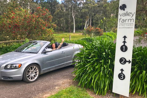 Valley Farm Vineyard Cottages - Accommodation Gladstone 0