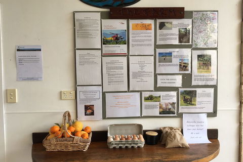 Alstonville Country Cottages - Accommodation Gladstone 5