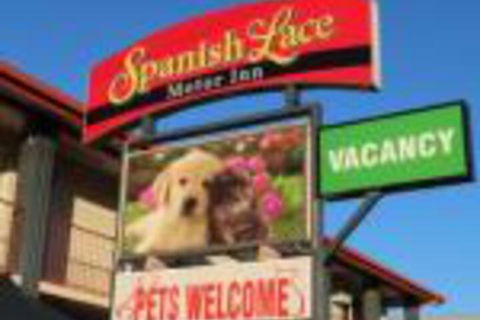 Spanish Lace Motor Inn - Accommodation Gladstone 0