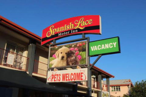 Spanish Lace Motor Inn - Accommodation Gladstone 3