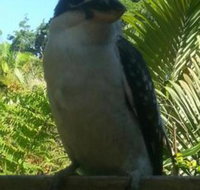 Tropic Oasis Holiday Villas - Accommodation Gladstone
