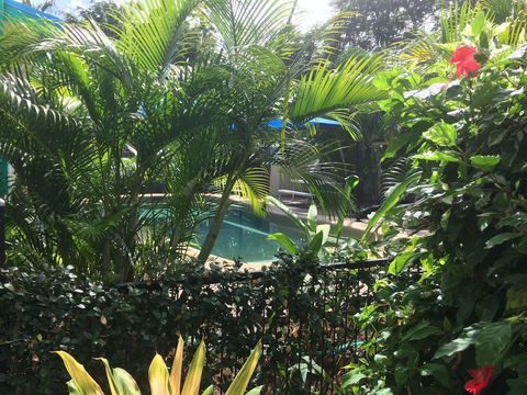 Tropical Palms - Accommodation Gladstone 2