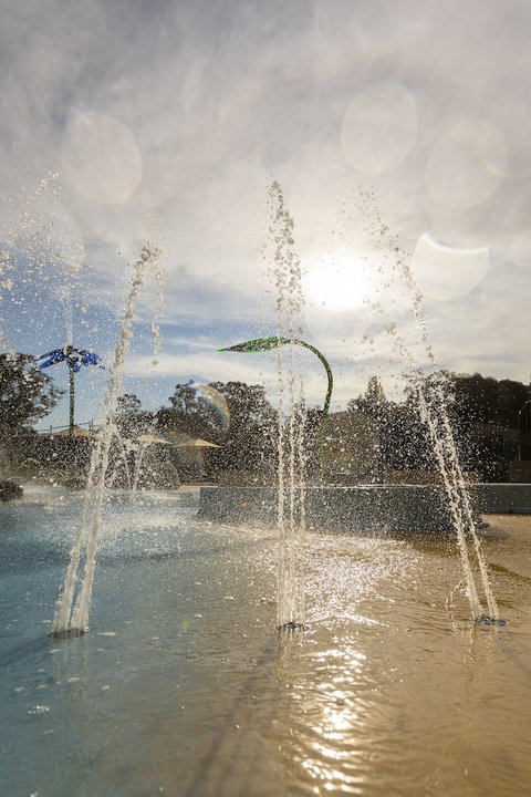 Alivio Tourist Park Canberra - Accommodation Gladstone 5