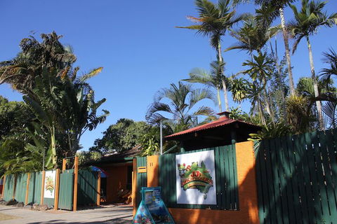 JJs Backpackers Hostel - Accommodation Gladstone 1