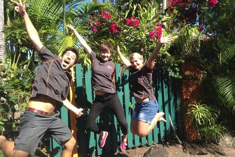 JJs Backpackers Hostel - Accommodation Gladstone 6