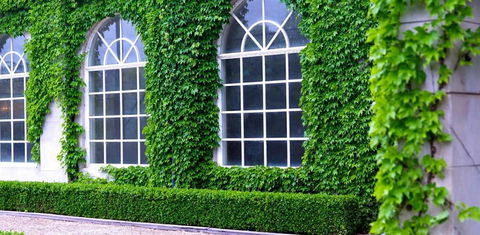Milton Park Country House Hotel & Spa - Accommodation Gladstone 0