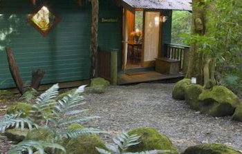 Springbrook QLD Accommodation Gladstone
