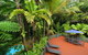 Wait A While Daintree - thumb 3