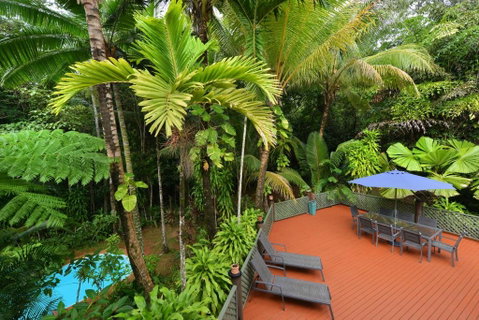 Wait A While Daintree - Accommodation Gladstone 3
