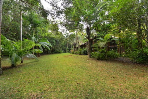 Wait A While Daintree - Accommodation Gladstone 1