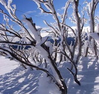Ripparoo Ski Lodge - Accommodation Gladstone