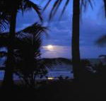 Sejala Beach Huts - Accommodation Gladstone
