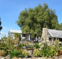 Sassafras Springs - Accommodation Gladstone