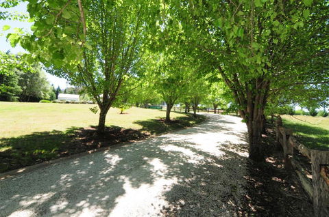 Daisy Cottage - Accommodation Gladstone 7