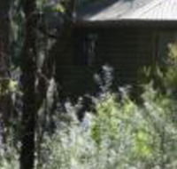 Twin Falls Bush Cottages - Accommodation Gladstone