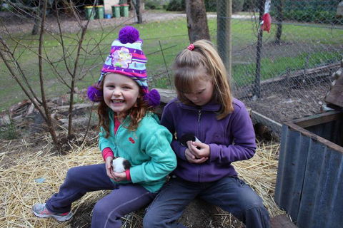 Fernleigh Farmstay & Bike Park - Accommodation Gladstone 3