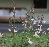 Serendipity on Allyn - Accommodation Gladstone