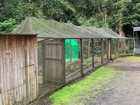 Figtree Getaway - Accommodation Gladstone 6