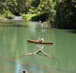 Figtree Getaway - Accommodation Gladstone