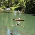 Figtree Getaway - Accommodation Gladstone 0