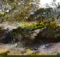 Green Gully House - Accommodation Gladstone